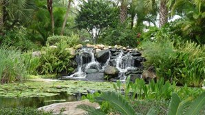 Unclassified image, 4 of 30, button - BB614NPP - Relaxing 3BR Corner Condo • Sleeps 6 (Davenport)