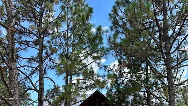 A rustic lodge with a stone pathway leading to a wooden entrance. - Hotel Bellotas Resort (Badiraguato)