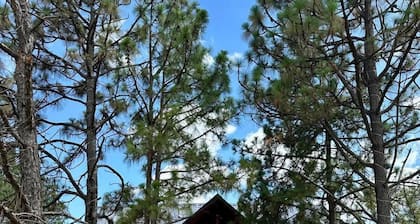 Hotel Bellotas Resort