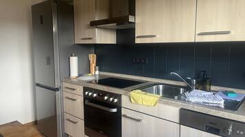Kühlschrank, Ofen, Herdplatte, Geschirrspüler