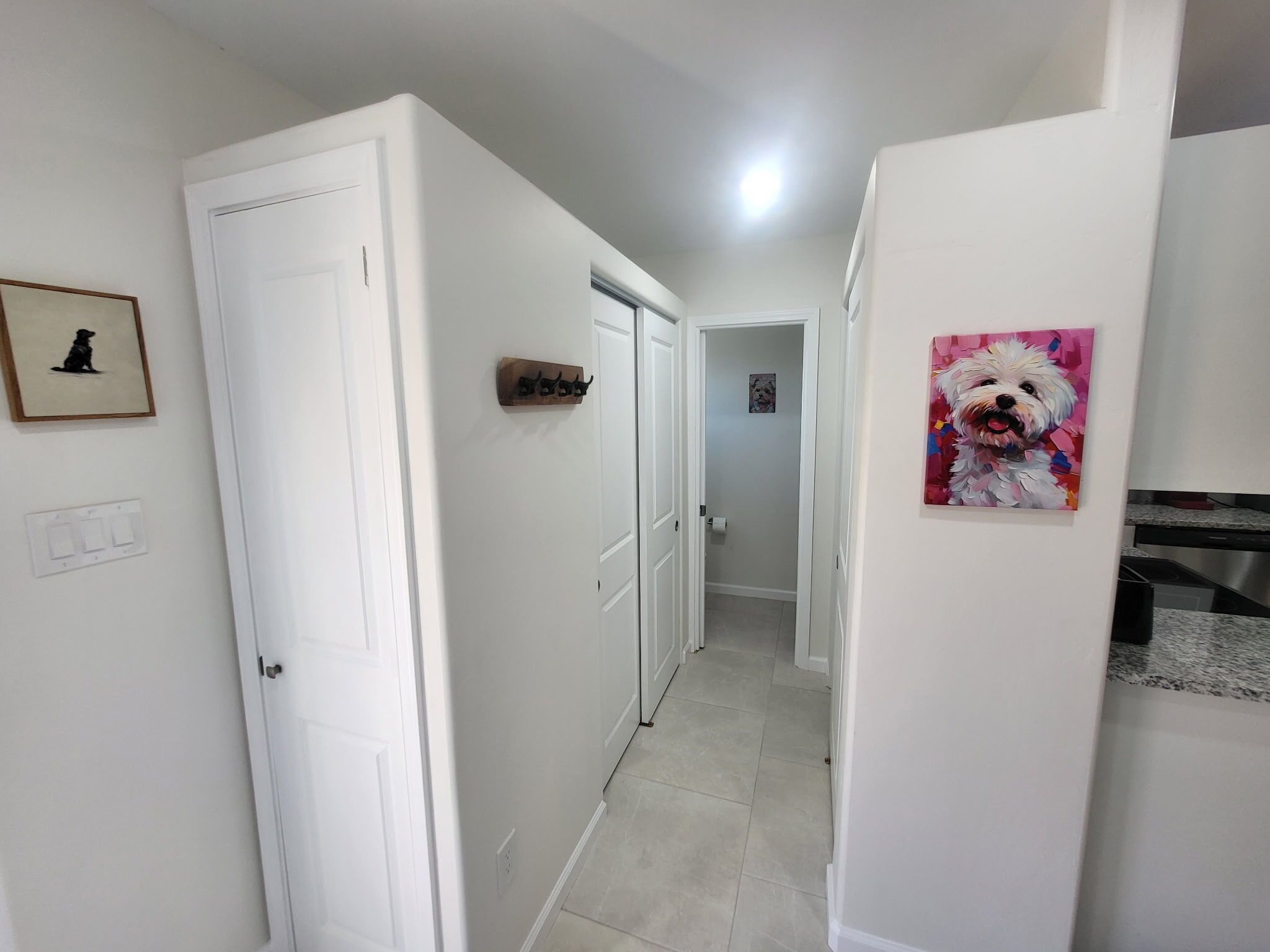 Un couloir aux murs blancs, une porte à gauche, un porte-manteau et, à droite, un tableau représentant un chien.