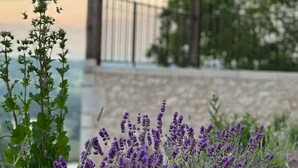 Un jardin agrémenté de plantes de lavande et d’une structure de pergola en bois.
