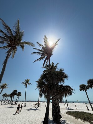 A beach with palm trees and a clear sky.