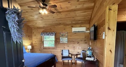 NEW! Blue Ridge Bound Cabin 326