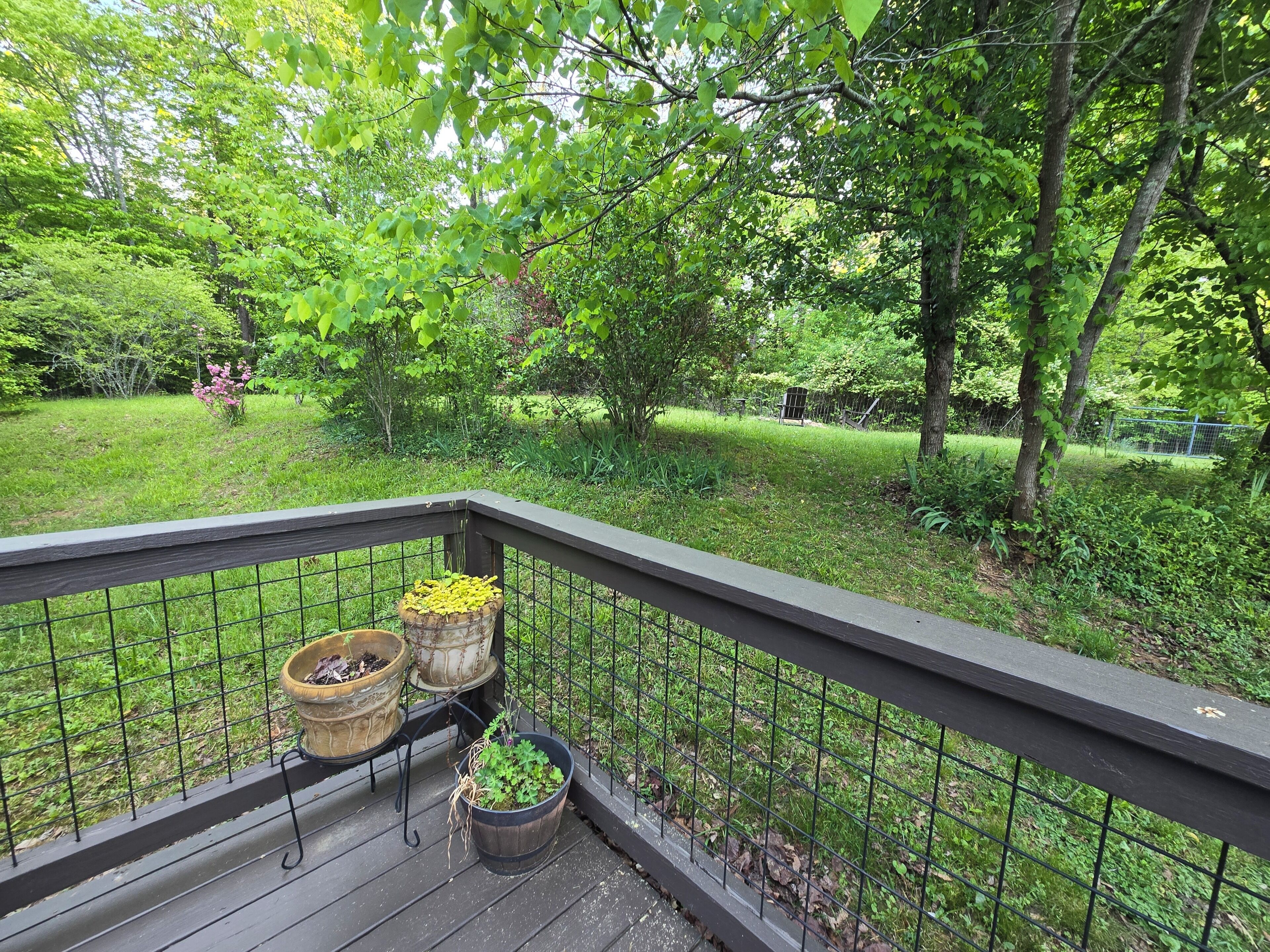 Une terrasse en bois avec une rambarde en métal, des plantes en pot et une vue sur un jardin luxuriant.