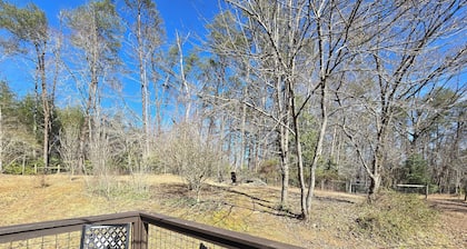 Charming 3-bedroom pet-friendly cottage with fenced-in yard in Blue Ridge Mtns