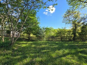 A grassy area with trees and a wooden fence. - Charming Mountain Retreat with fire pit, fenced yard, scenic views, and privacy. (Mineral Bluff)