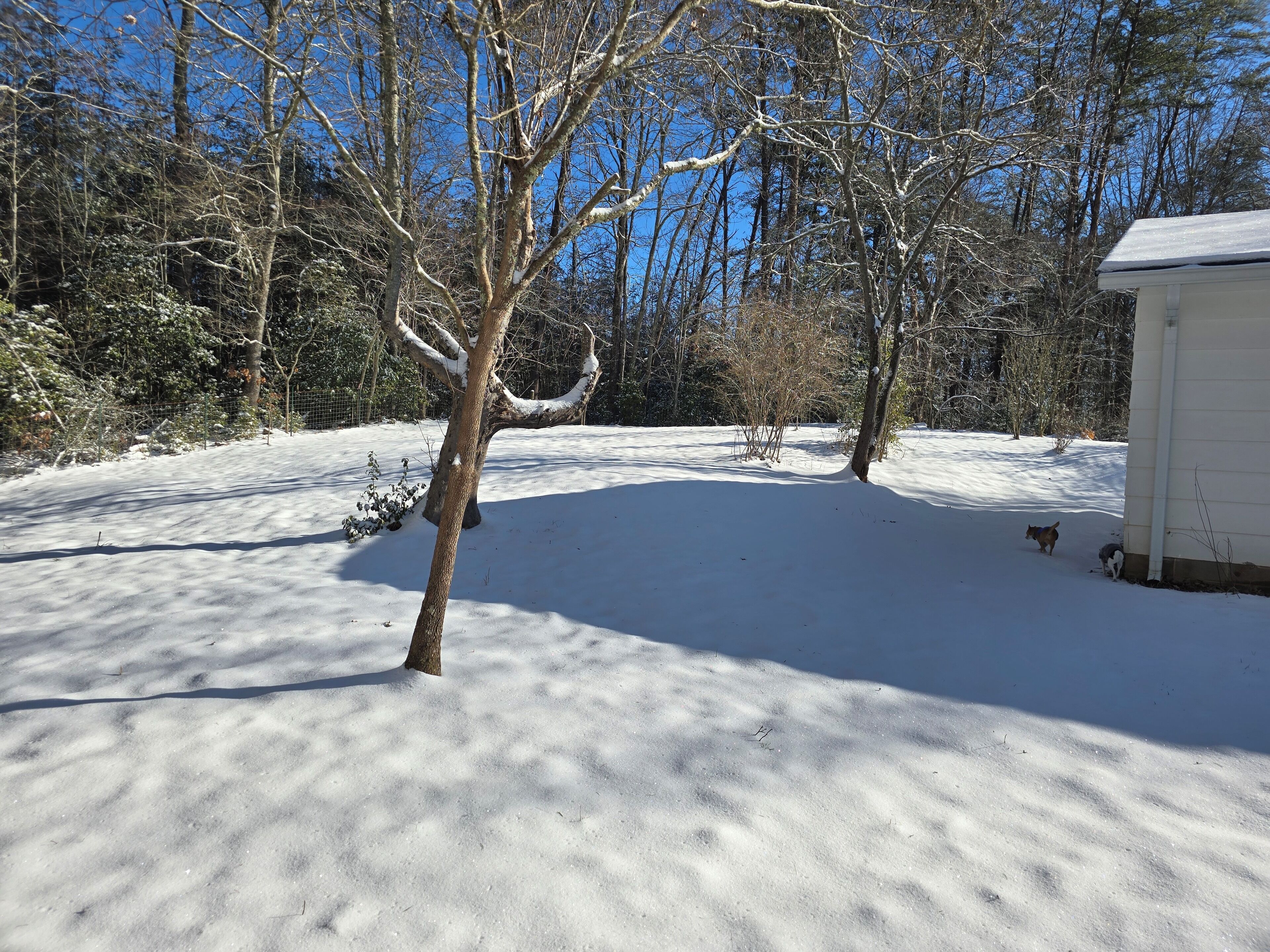 Enceinte de l’hébergement