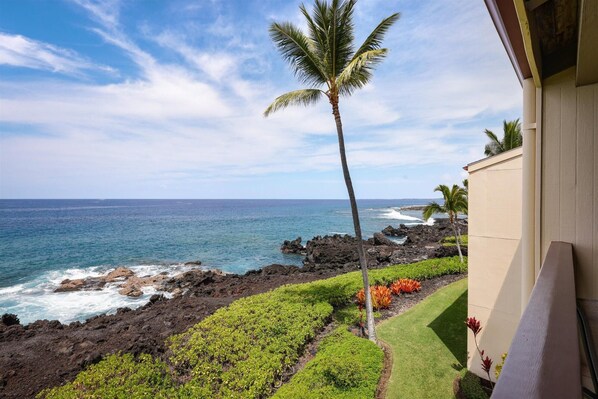Condo, várias camas (Keauhou Kona Surf & Racquet Club#1-30) | Área da propriedade