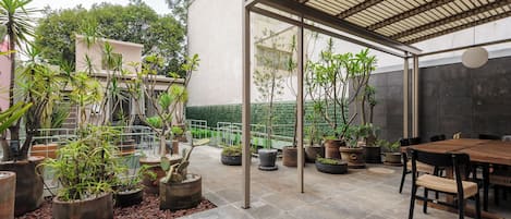 Dakterras