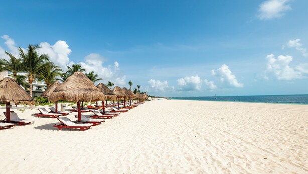 A beach with thatched umbrellas and sun loungers, palm trees, and a clear blue sky. - La Amada Private Terrace (Cancún)