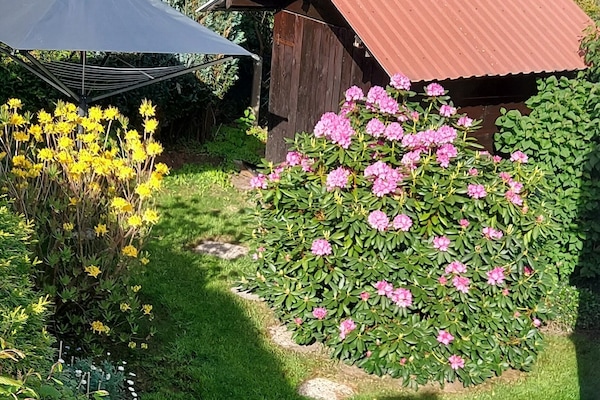 Speisen im Freien