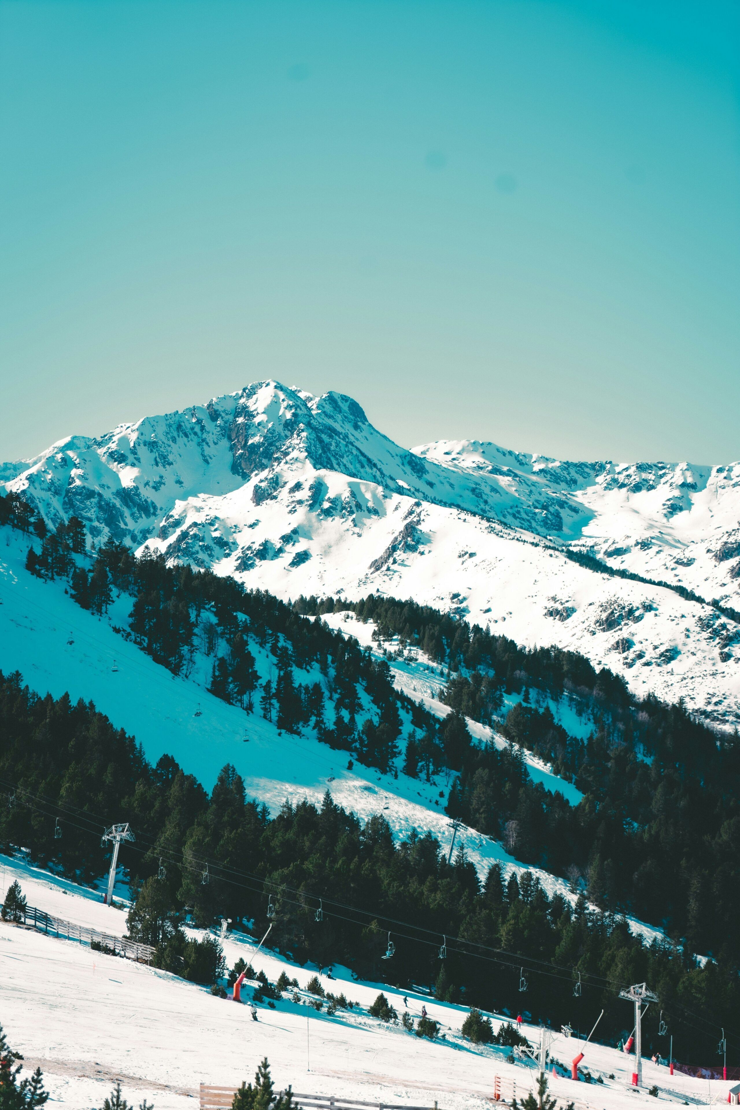 A snow-covered mountain with a ski lift and trees.