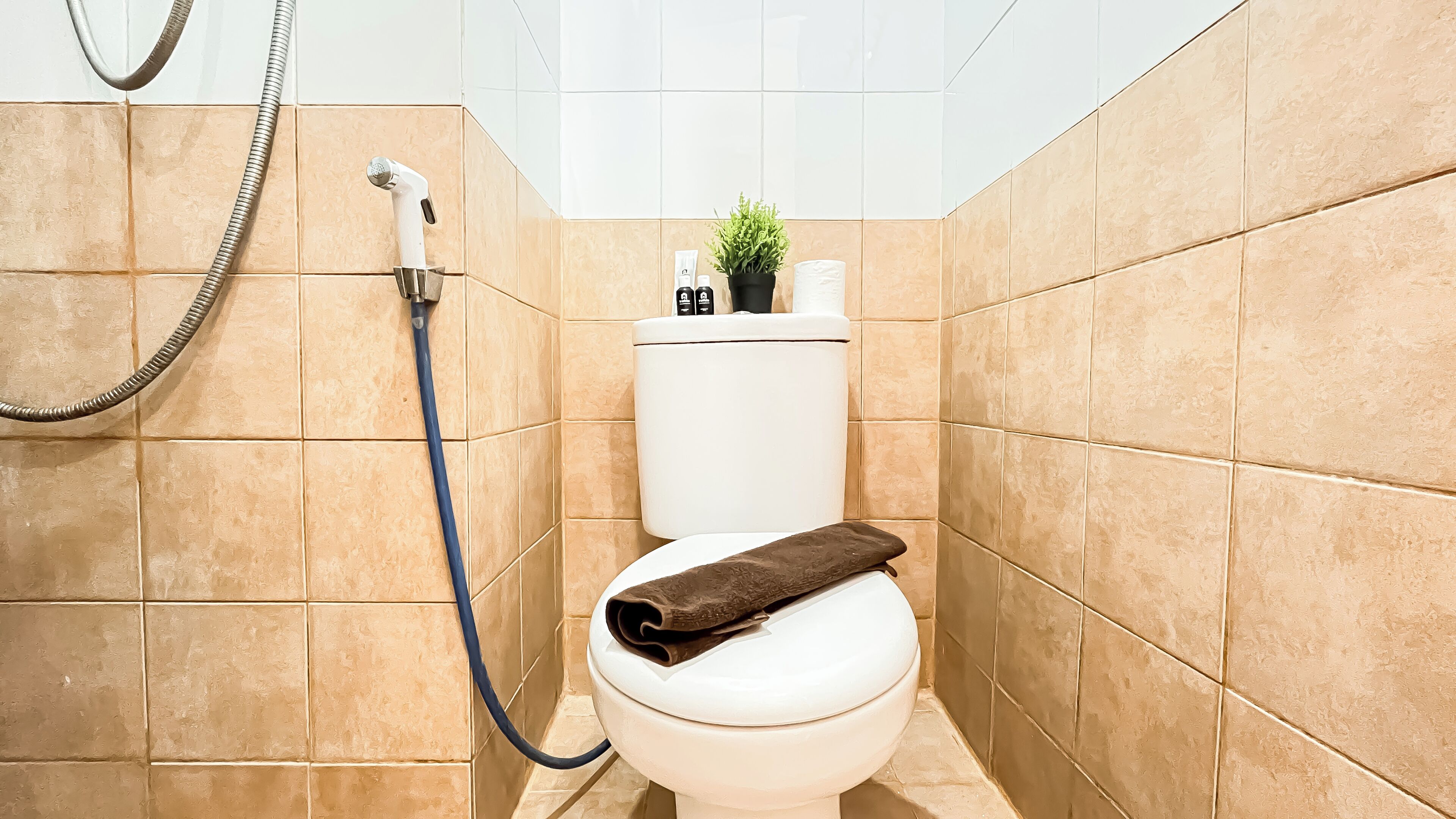 A bathroom with a toilet, a shower, and a small potted plant on the toilet tank.