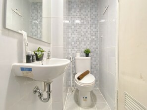 A bathroom with a white sink, a mirror, a toilet, and a shower area.
