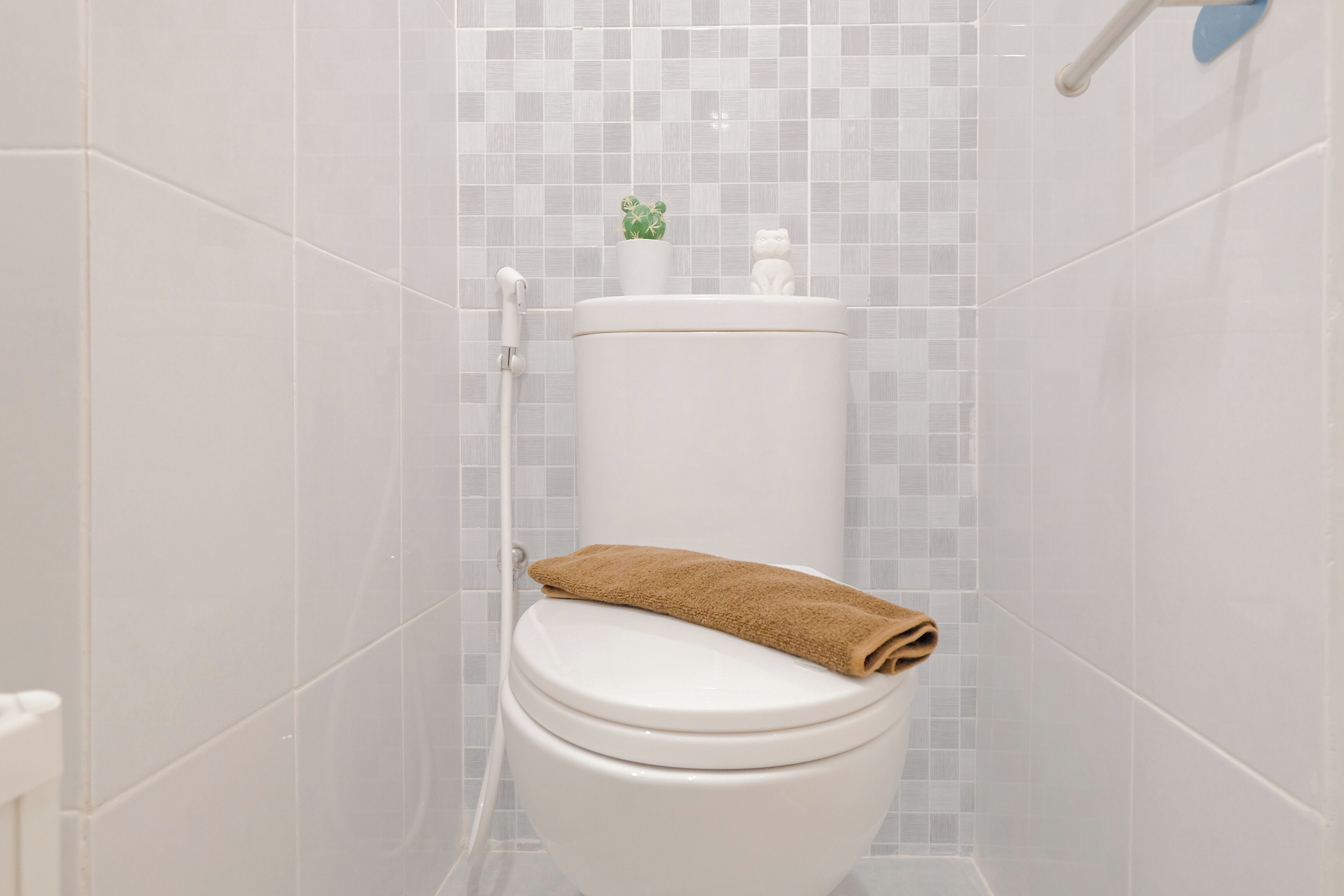 A white toilet with a brown towel on top, a small potted plant, and a handrail.