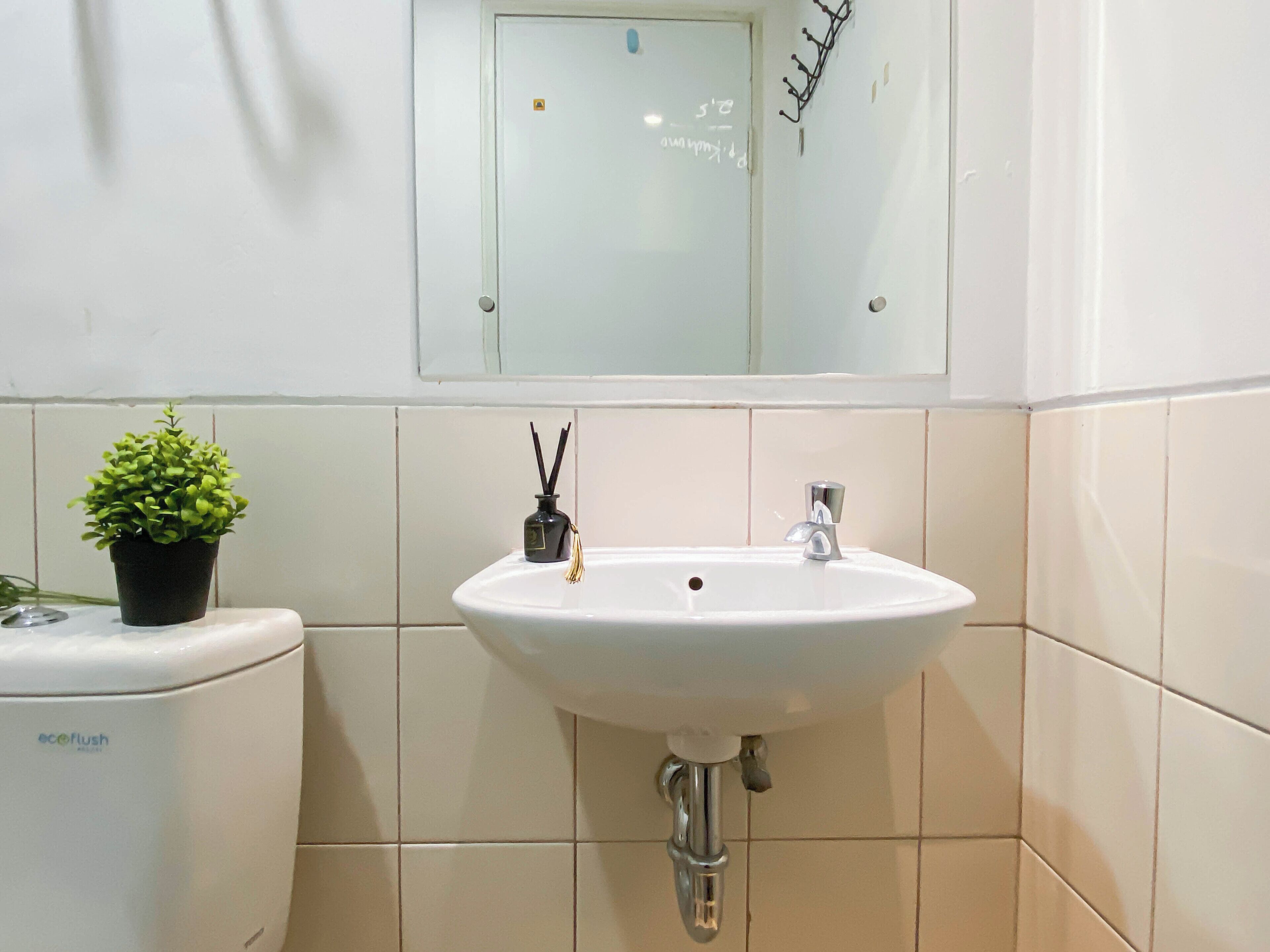 A bathroom with a white sink, a toilet, and a small potted plant.