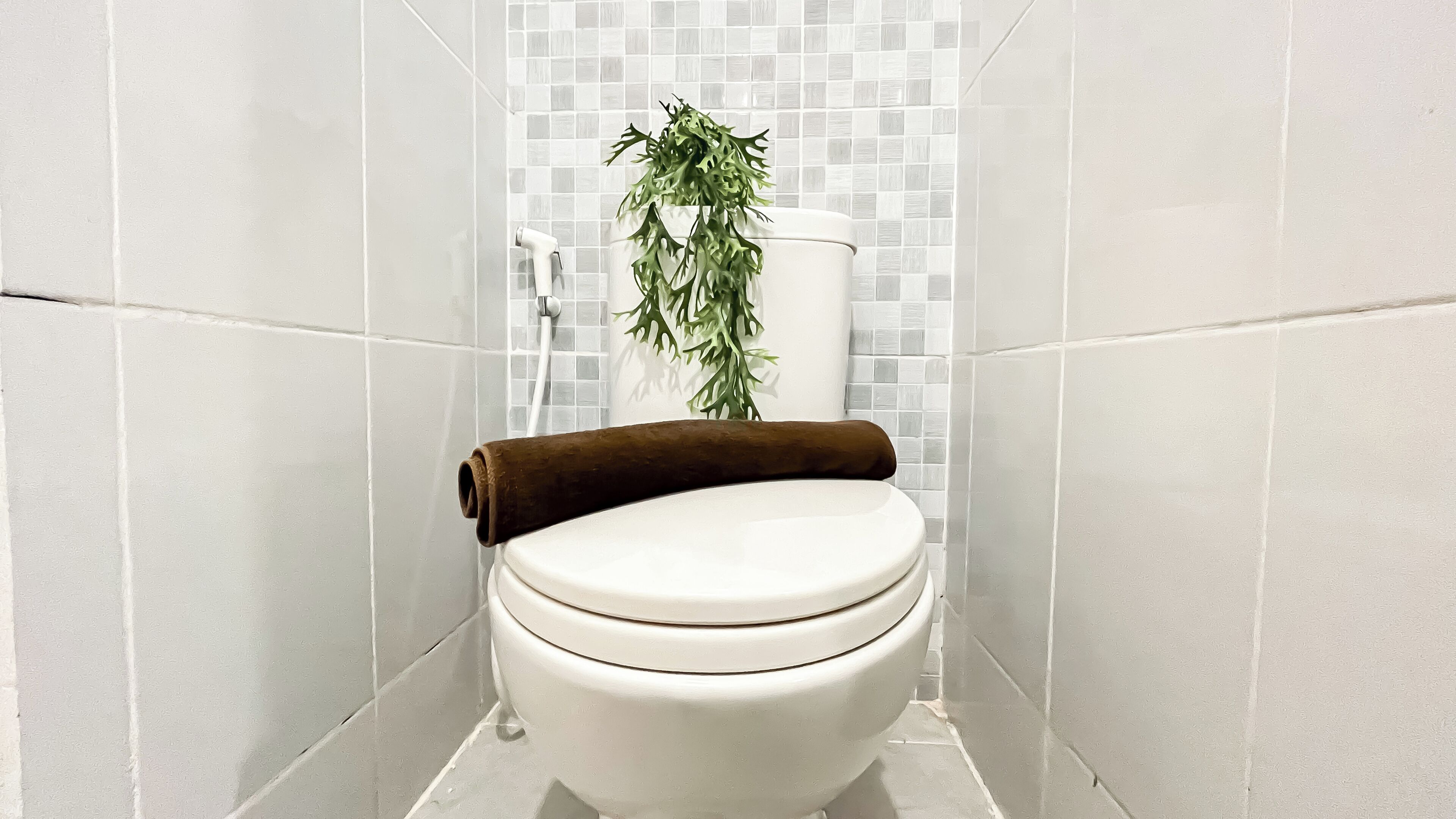 A modern bathroom with a toilet, a towel, and a plant.