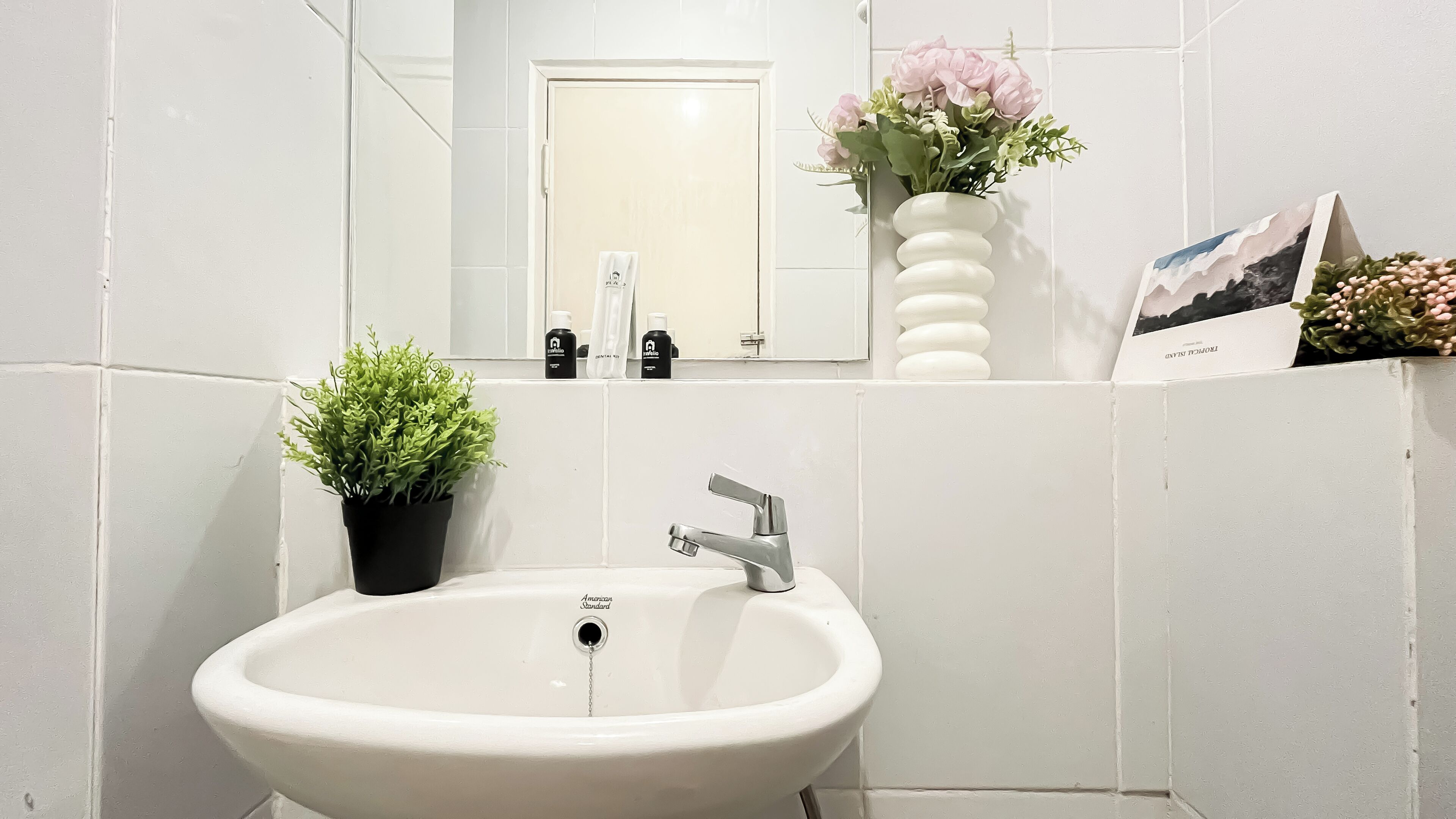 A bathroom with a white sink, a mirror, and a potted plant.