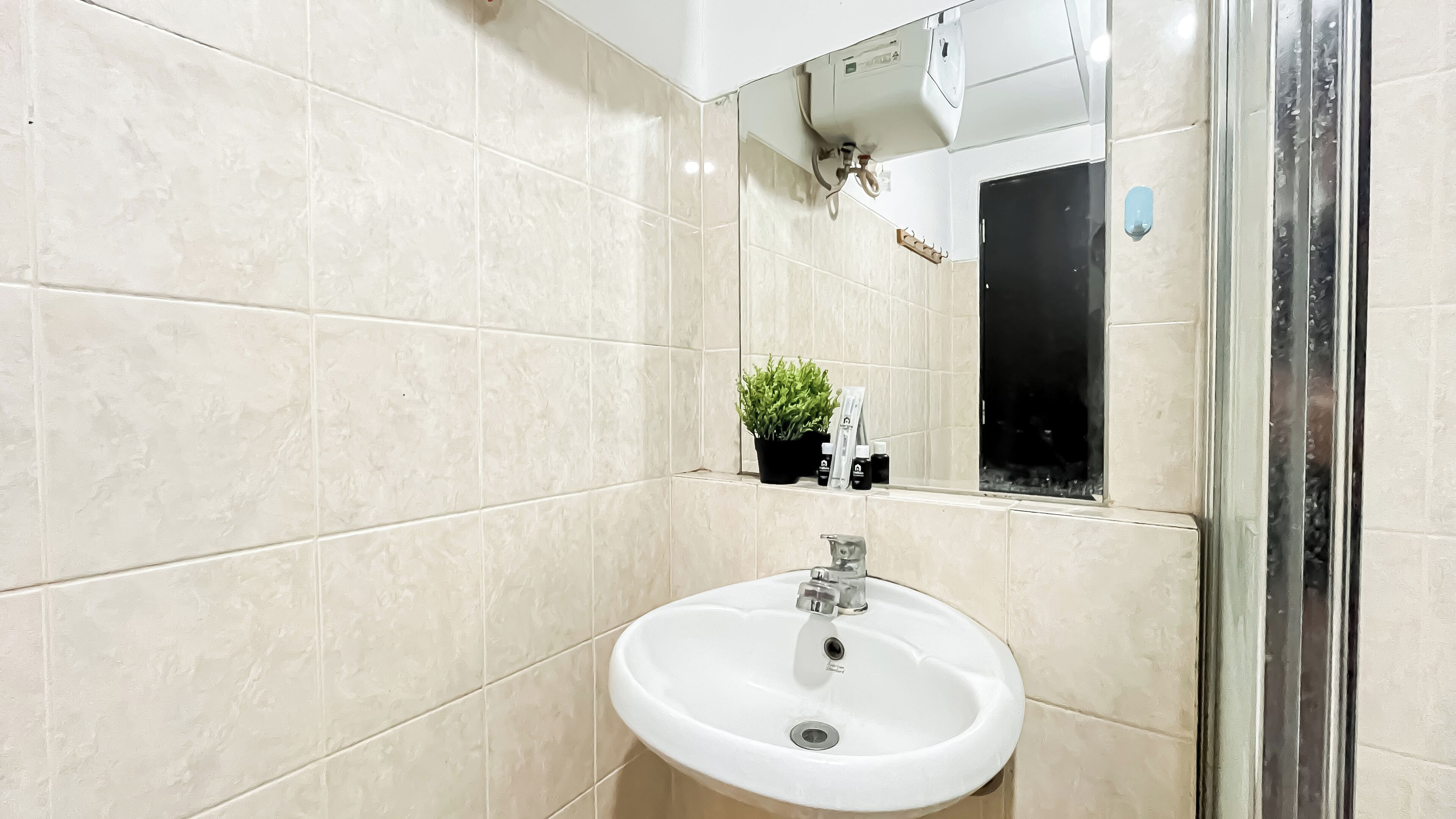 A bathroom with a white sink, a mirror, and a potted plant.