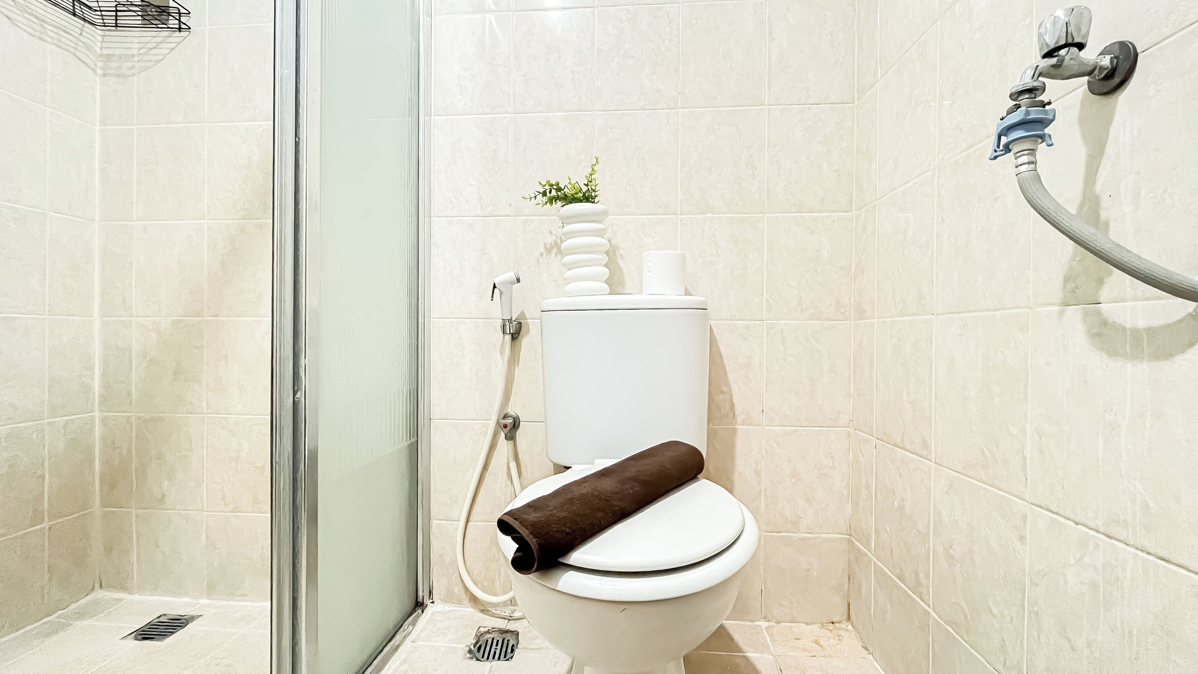 Un baño con inodoro, ducha y una pequeña planta en la pared.