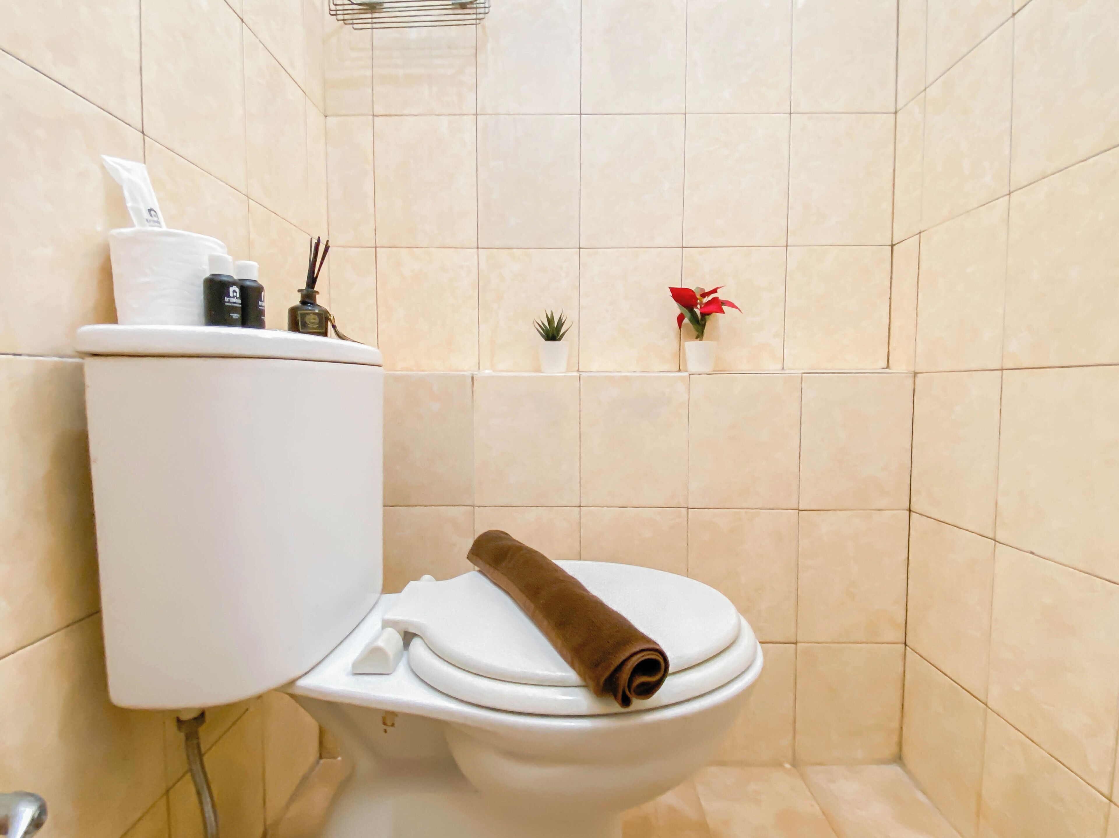 A bathroom with a toilet, a towel, and a small potted plant on the wall.