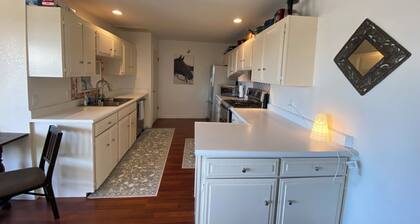 Lavandine farm welcomes travelers to our oasis above Monterey Bay area!