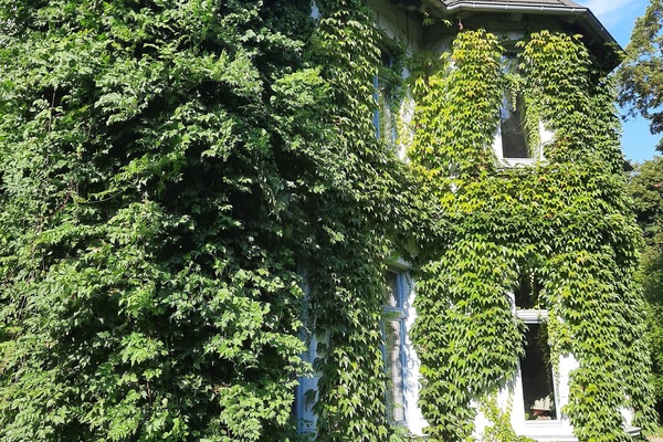 Gutshaus Alt-Pannekow
