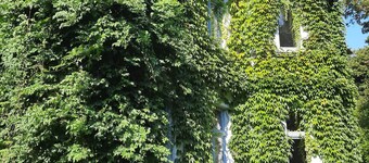 Vacations at the Gutshof Alt-Pannekow (with spa area)-Dogs welcome (max. 4P)