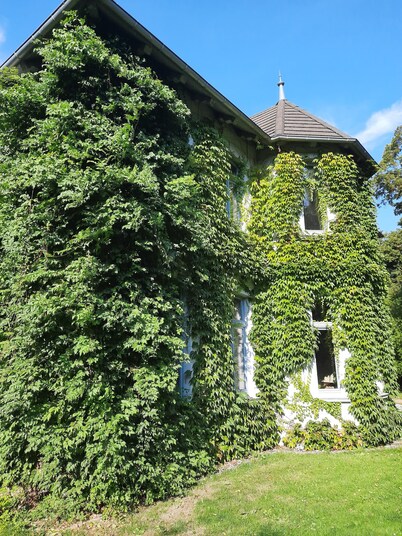 Vacations at the Gutshof Alt-Pannekow (with spa area)-Dogs welcome (max. 4P)