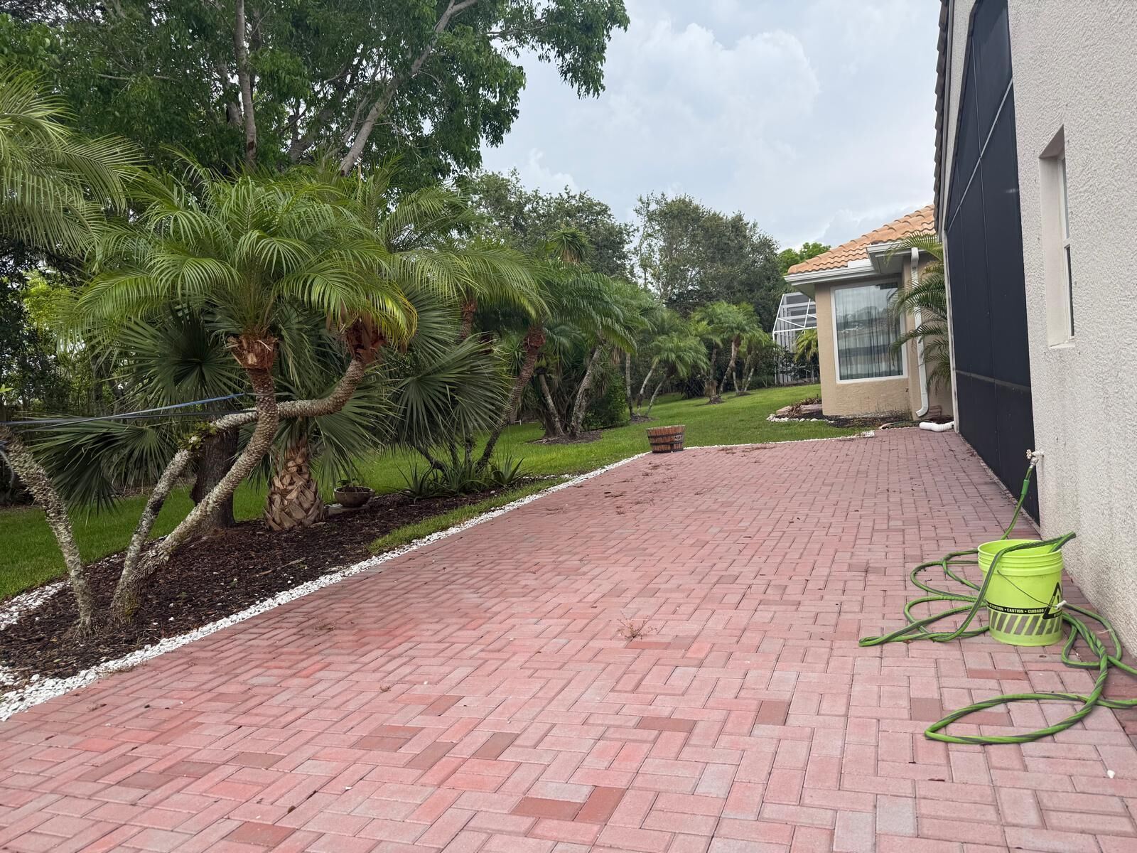 Un chemin pavé, des palmiers et un bâtiment avec une fenêtre.
