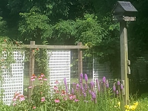 Un jardin agrémenté d’une treille en bois, de plantes fleuries et d’une nichoir.