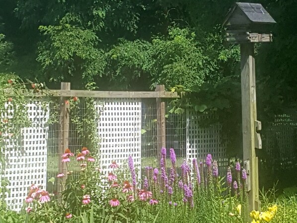 Miscellaneous - Haven Point Inn and Gallery (Rock Hall)