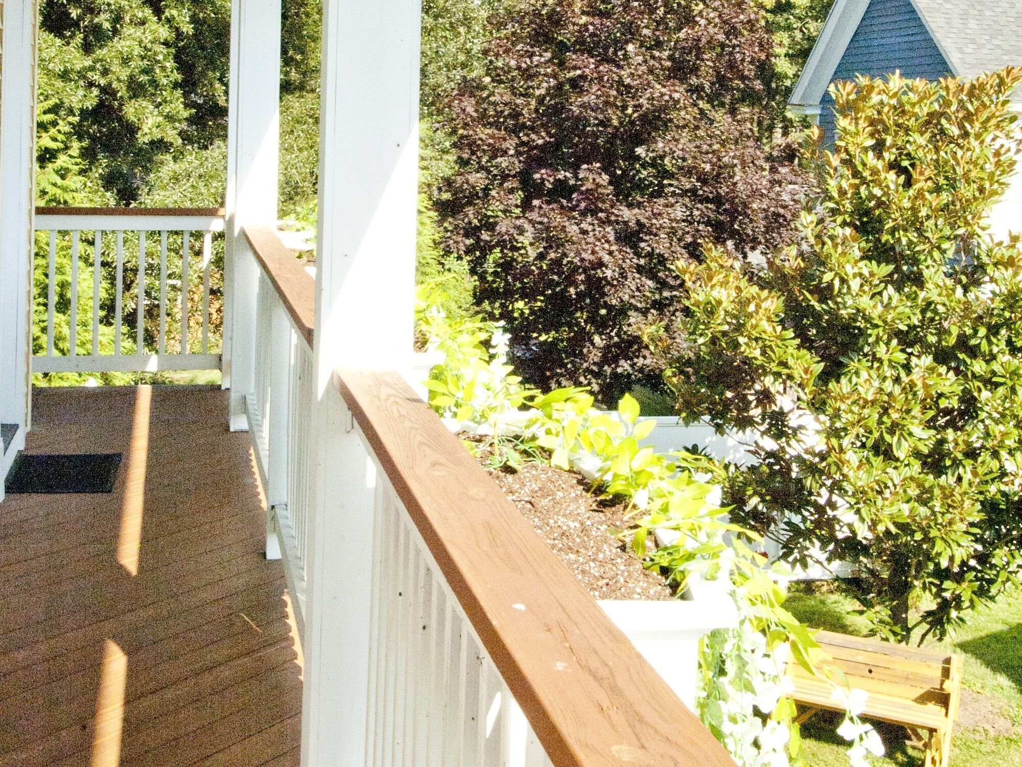 A wooden deck with a white railing, surrounded by greenery and a small bench.