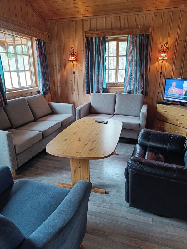 Living area - Cozy cabin near Bjørneparken (Buskerud)