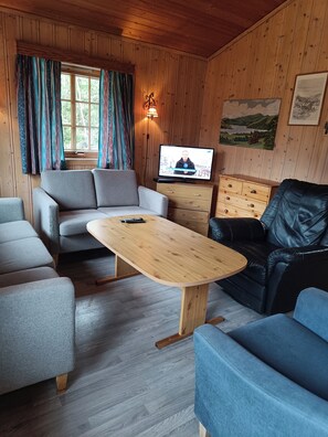 Living area - Cozy cabin near Bjørneparken (Buskerud)