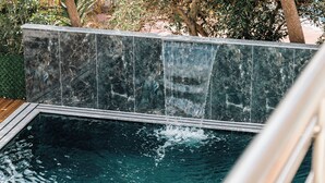 A swimming pool with clear water, surrounded by a stone wall and palm trees.
