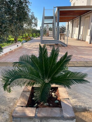 บริเวณภายนอก