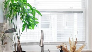 A kitchen with a sink, a potted plant, and a window with blinds. - Cozy Home, 17 min from NYC, 2 Parking Spaces (Ridgefield Park)