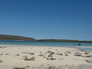 A beach with scattered rocks and a boat in the water.