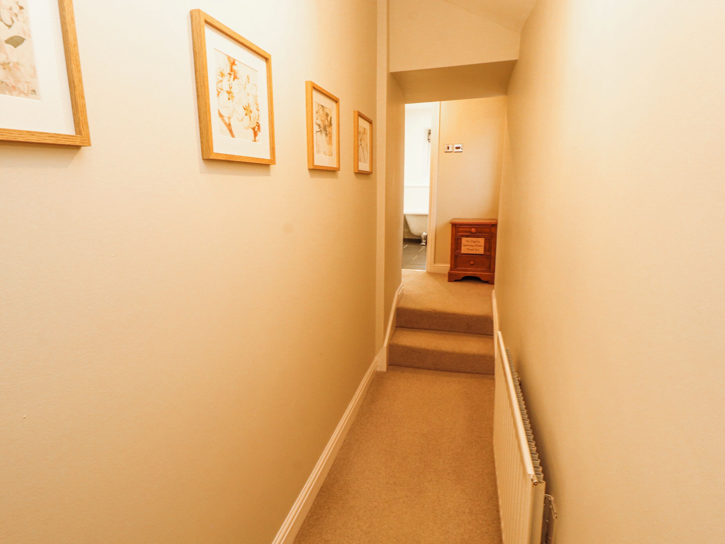 A narrow hallway with carpeted stairs leading to a door.