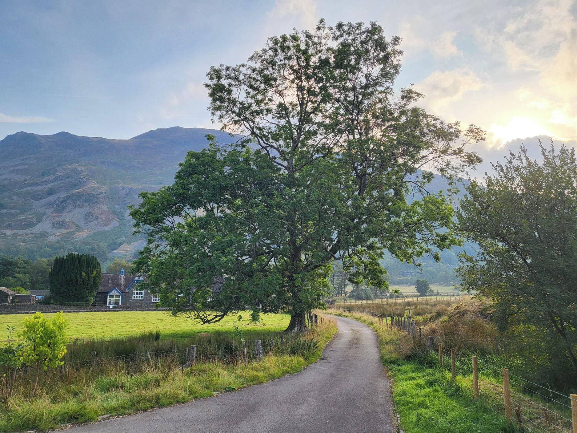 Une route de campagne, avec un grand arbre sur le côté gauche, des maisons au loin et des montagnes en arrière-plan.