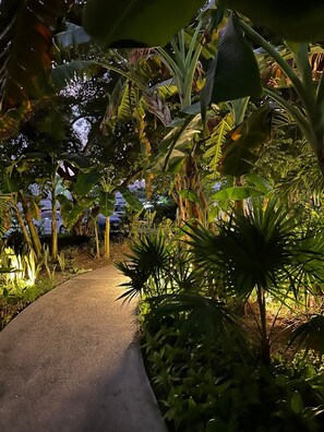 A pathway surrounded by lush tropical plants and trees, leading to a parking area with cars.