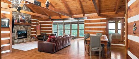 电视、壁炉、DVD 播放器、书