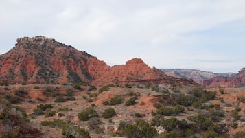 Miscellaneous