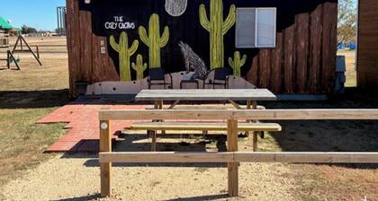 Cozy Catcus Container Cabin in Silverton Texas