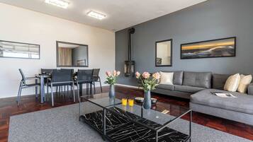 TV, fireplace, offices