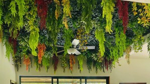 A dining area with a table and chairs, a ceiling fan, and a view of greenery outside.