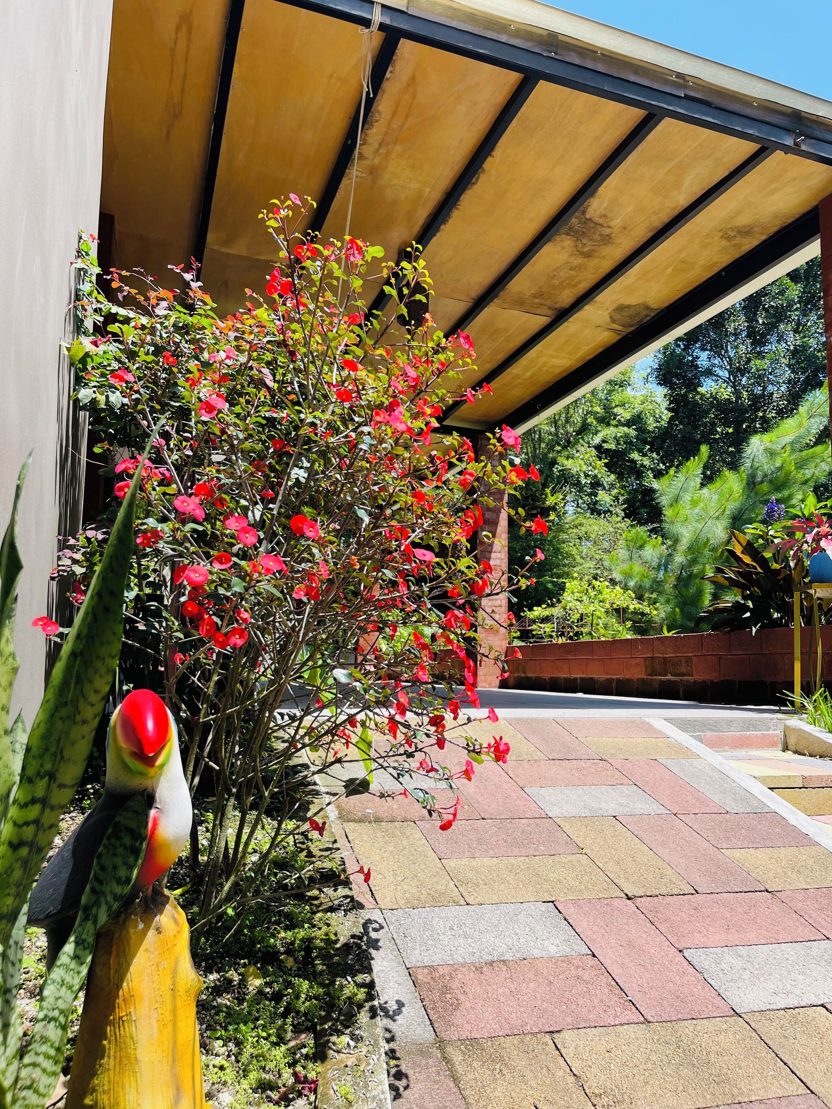 舒适独立别墅, 阳台, 花园景观 | 起居区