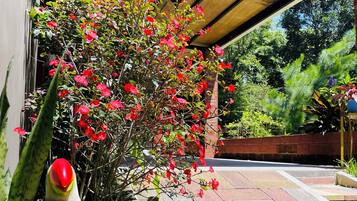 舒适独立别墅, 阳台, 花园景观 | 起居区